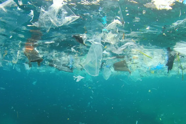 Déchets plastiques